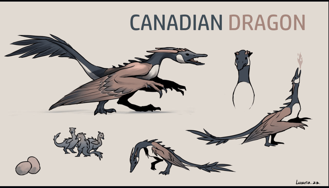 Canadian Dragon